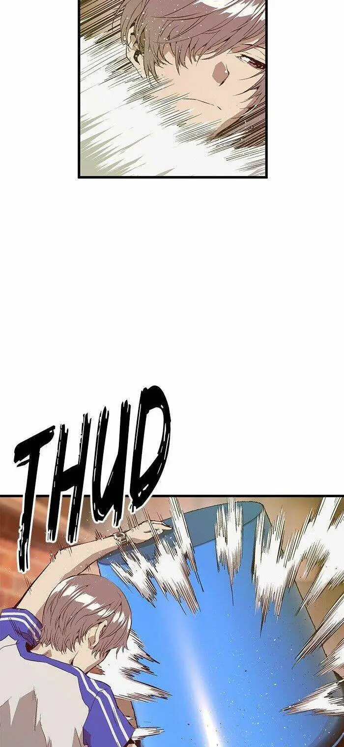 Chapter 23