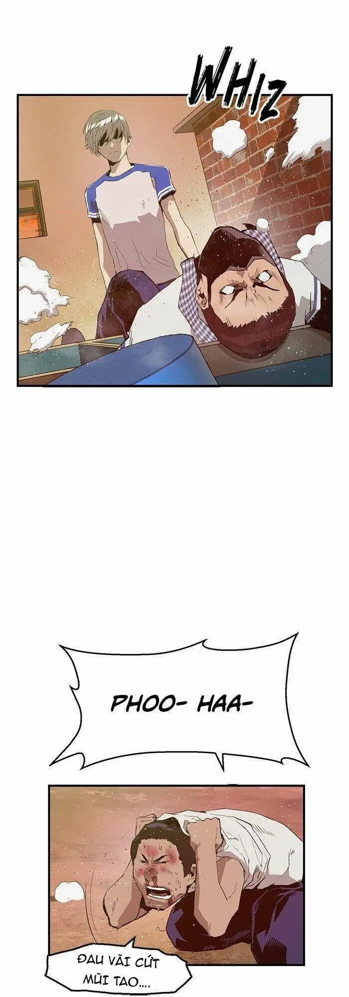 Chapter 23