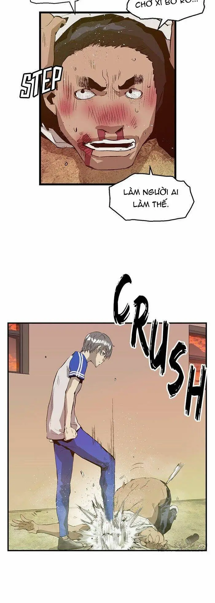 Chapter 23