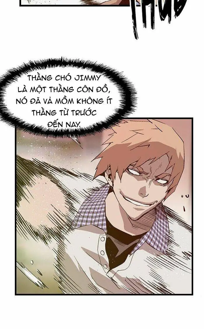 Chapter 23