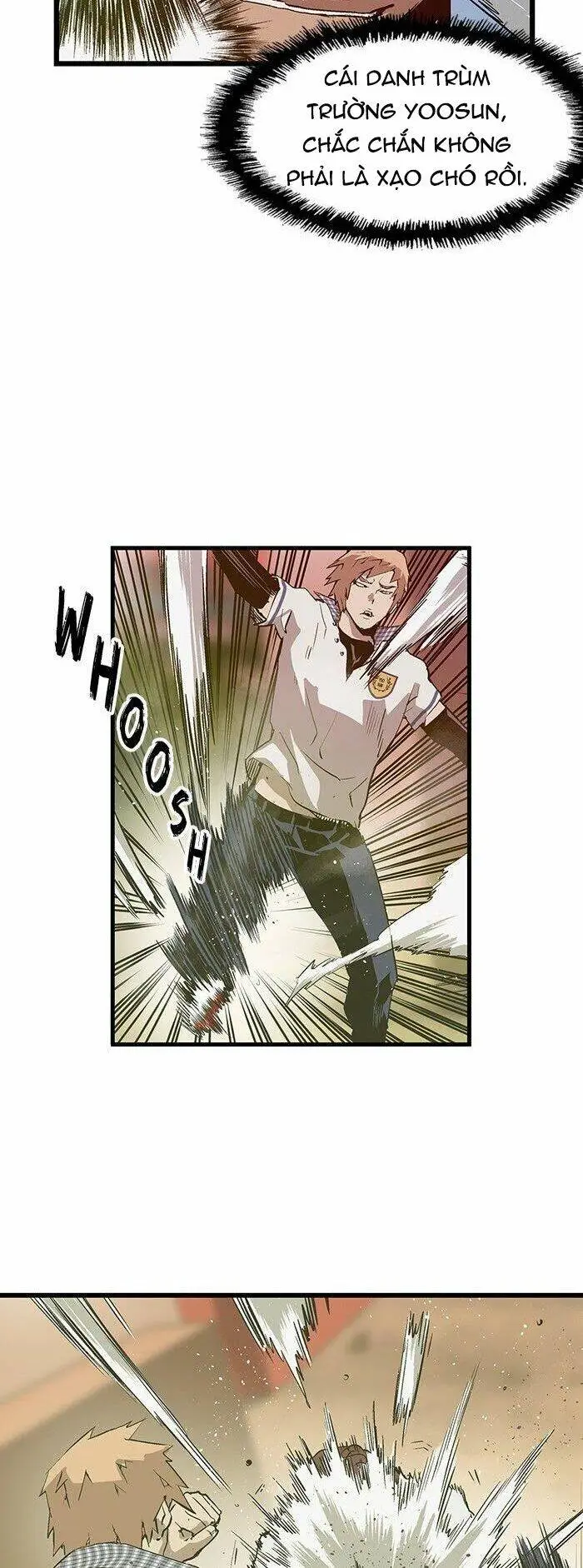Chapter 23