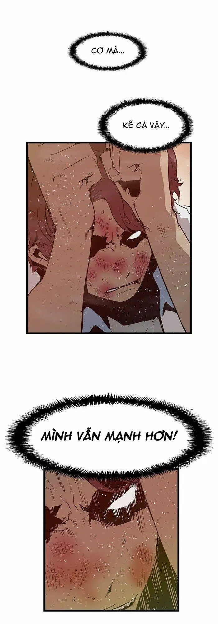 Chapter 23