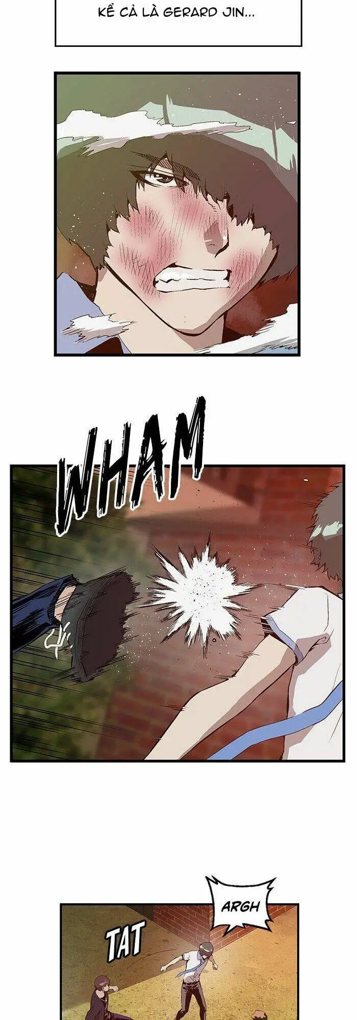 Chapter 23