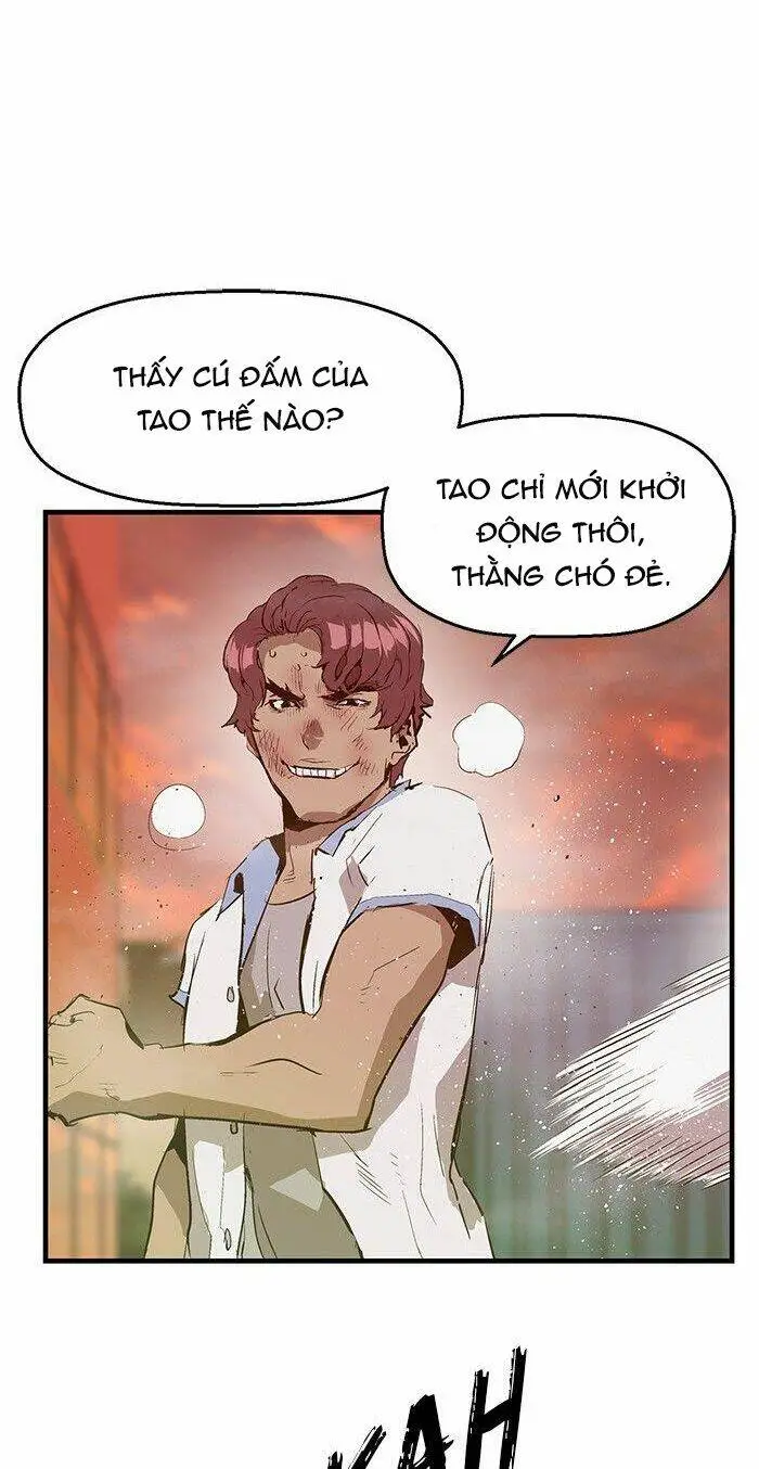 Chapter 23