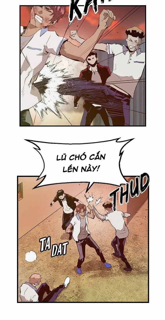 Chapter 23
