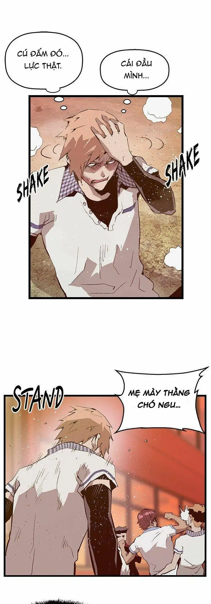 Chapter 23