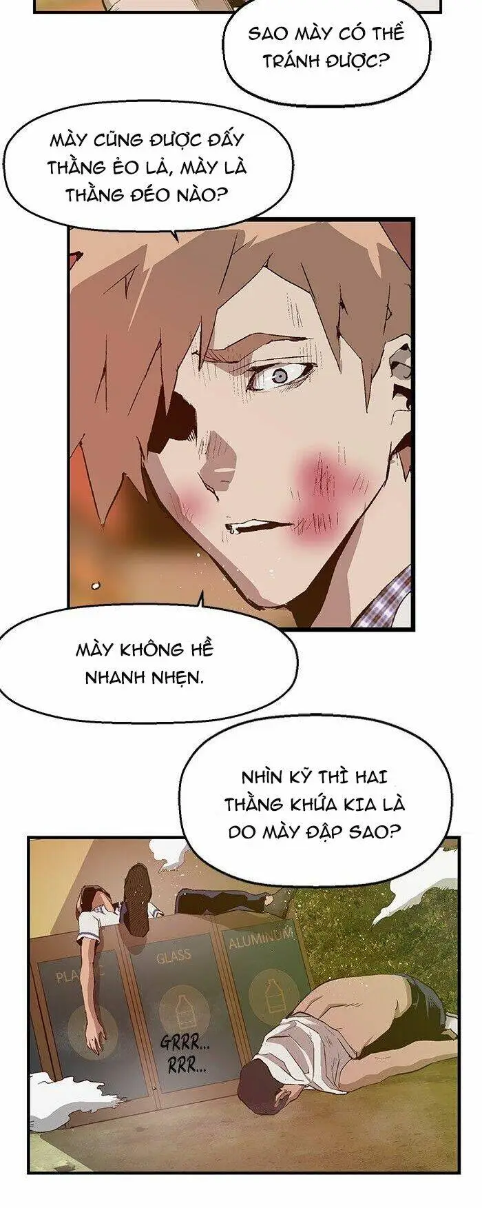 Chapter 23