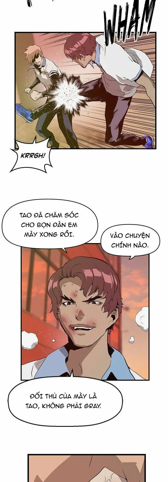 Chapter 23