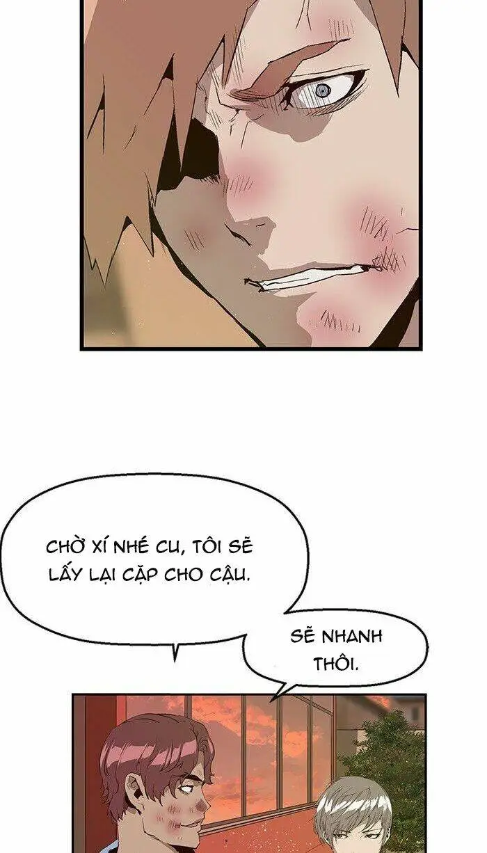 Chapter 23