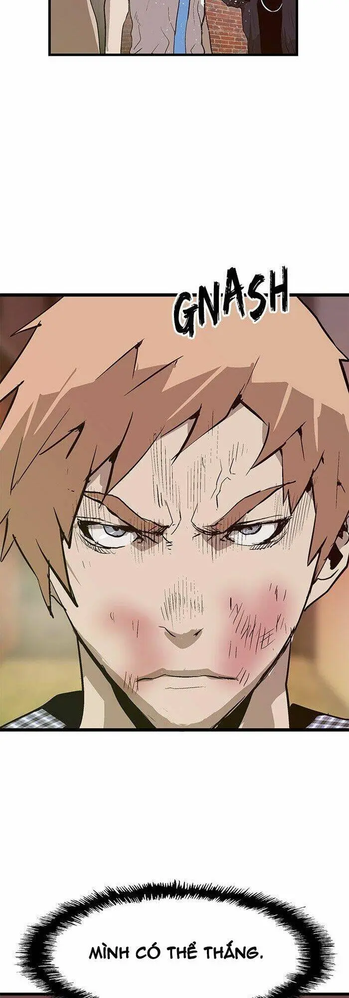 Chapter 23