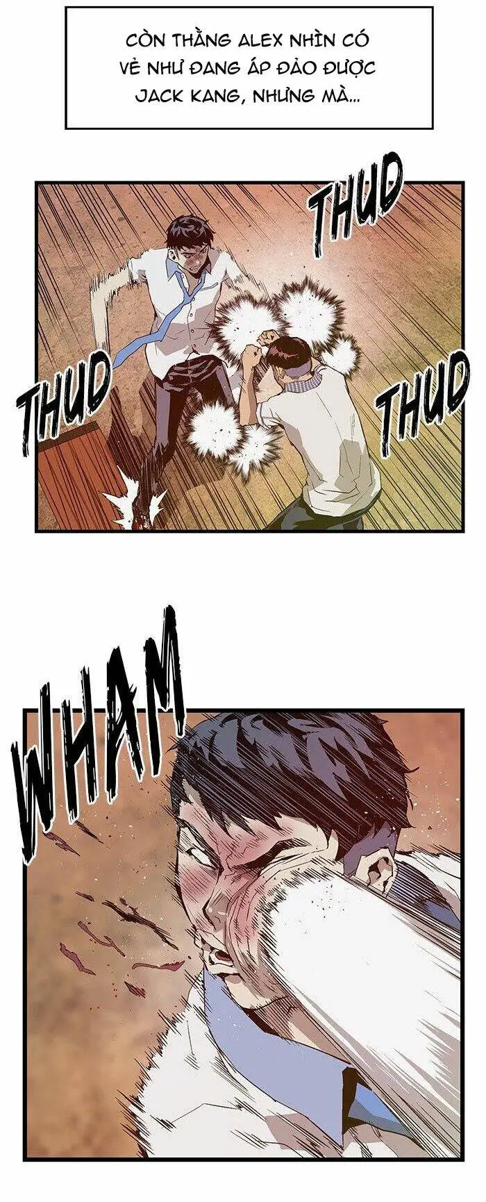 Chapter 23