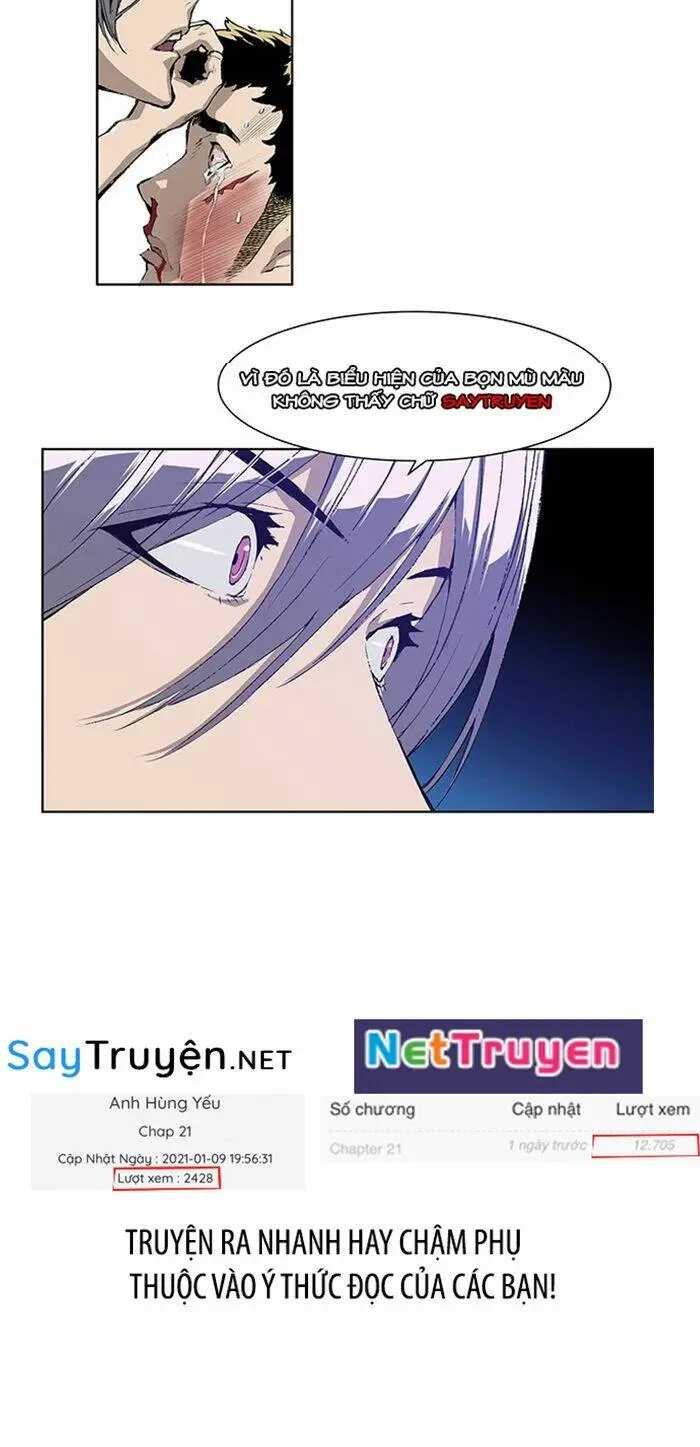 Chapter 23