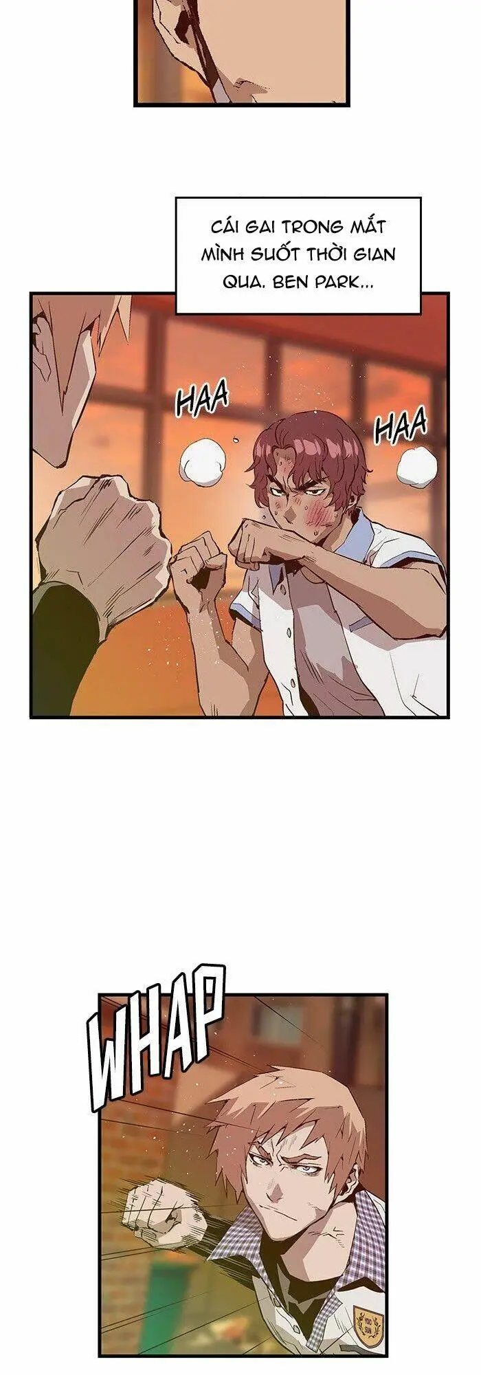 Chapter 23