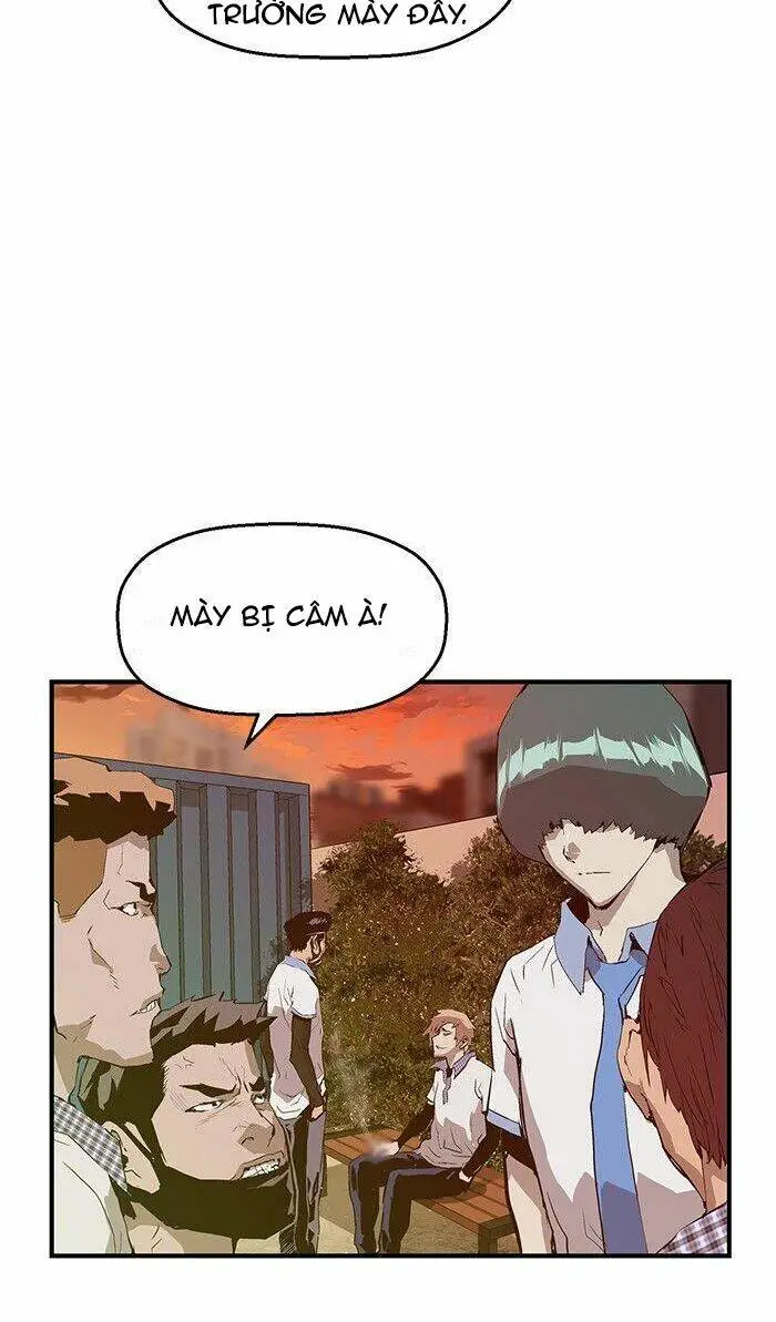Chapter 20