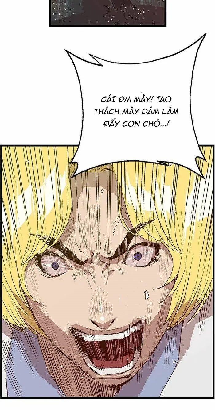 Chapter 17