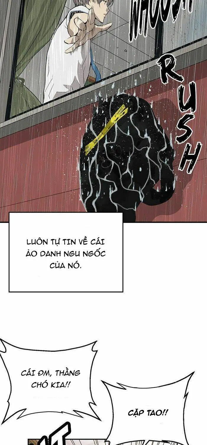 Chapter 17