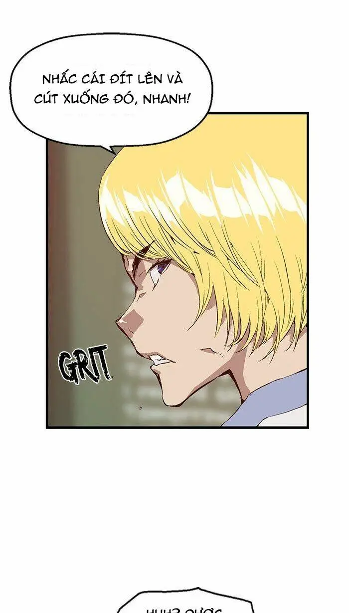 Chapter 17