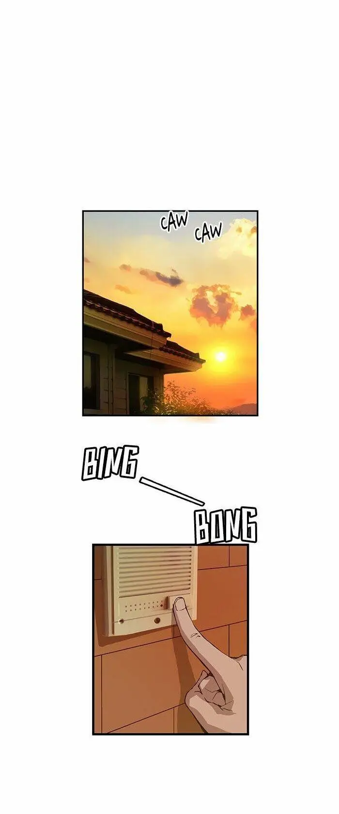 Chapter 15