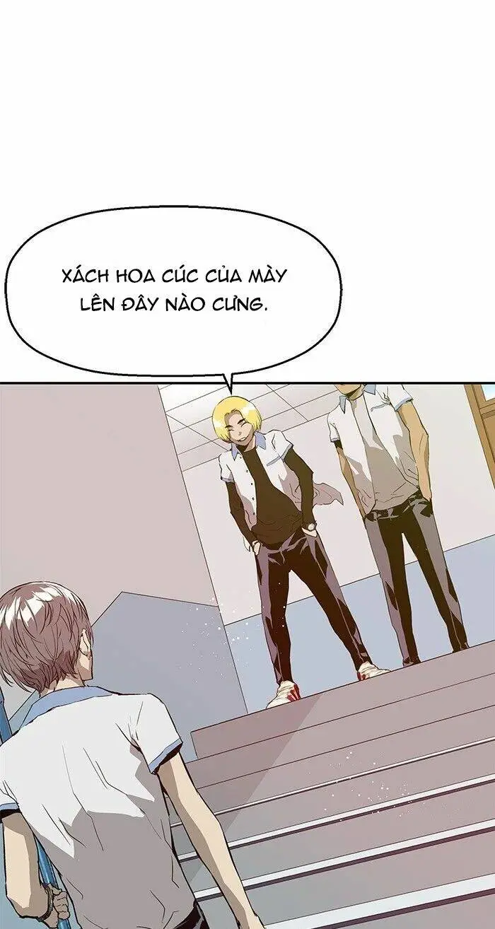 Chapter 15