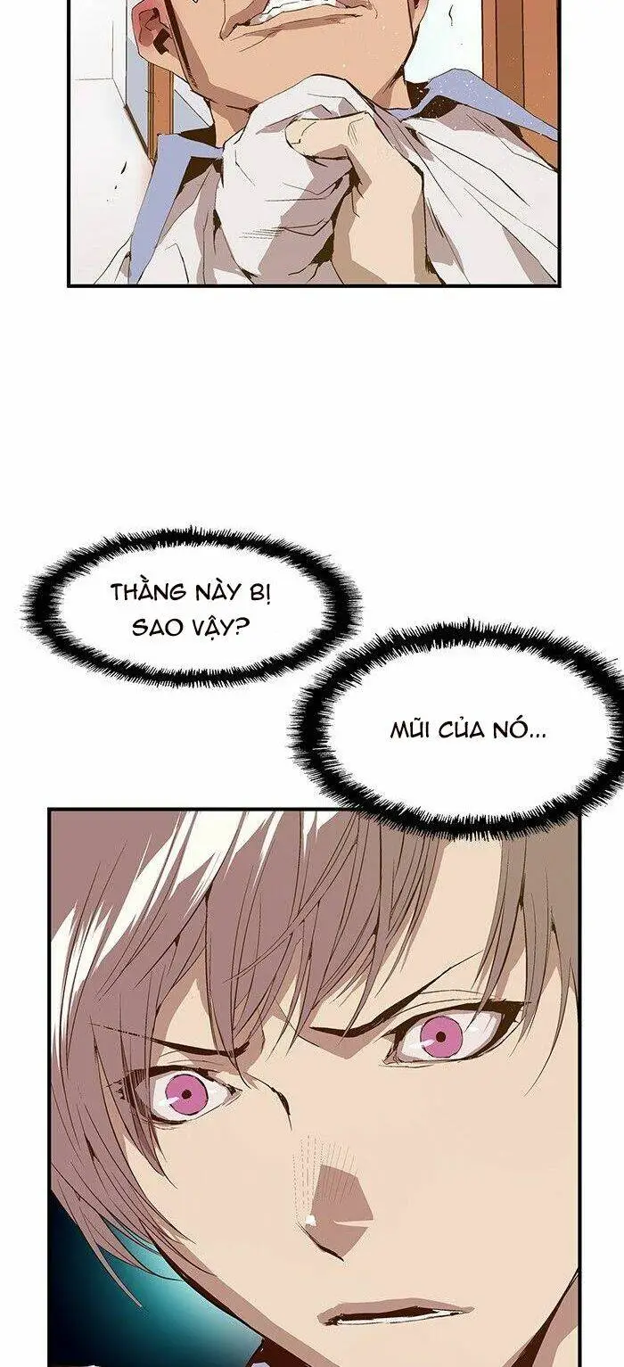 Chapter 14