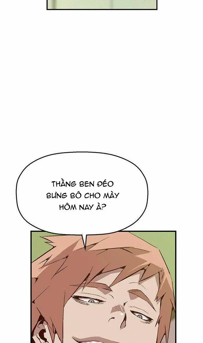 Chapter 13