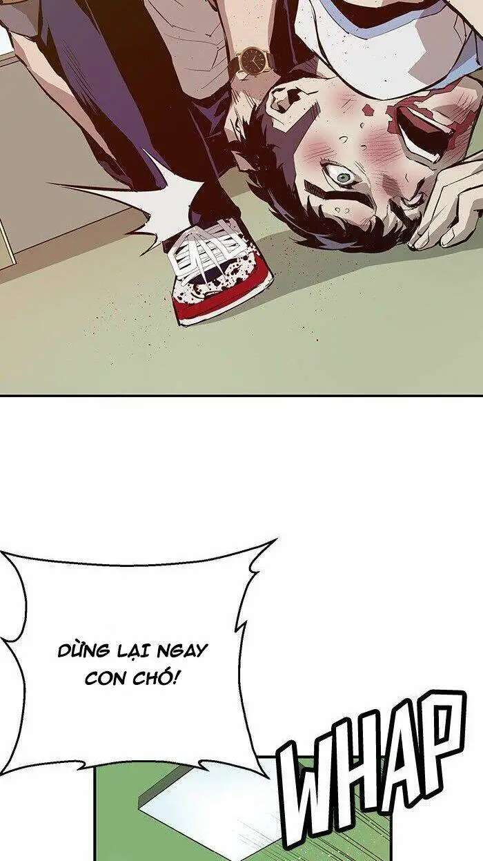 Chapter 13