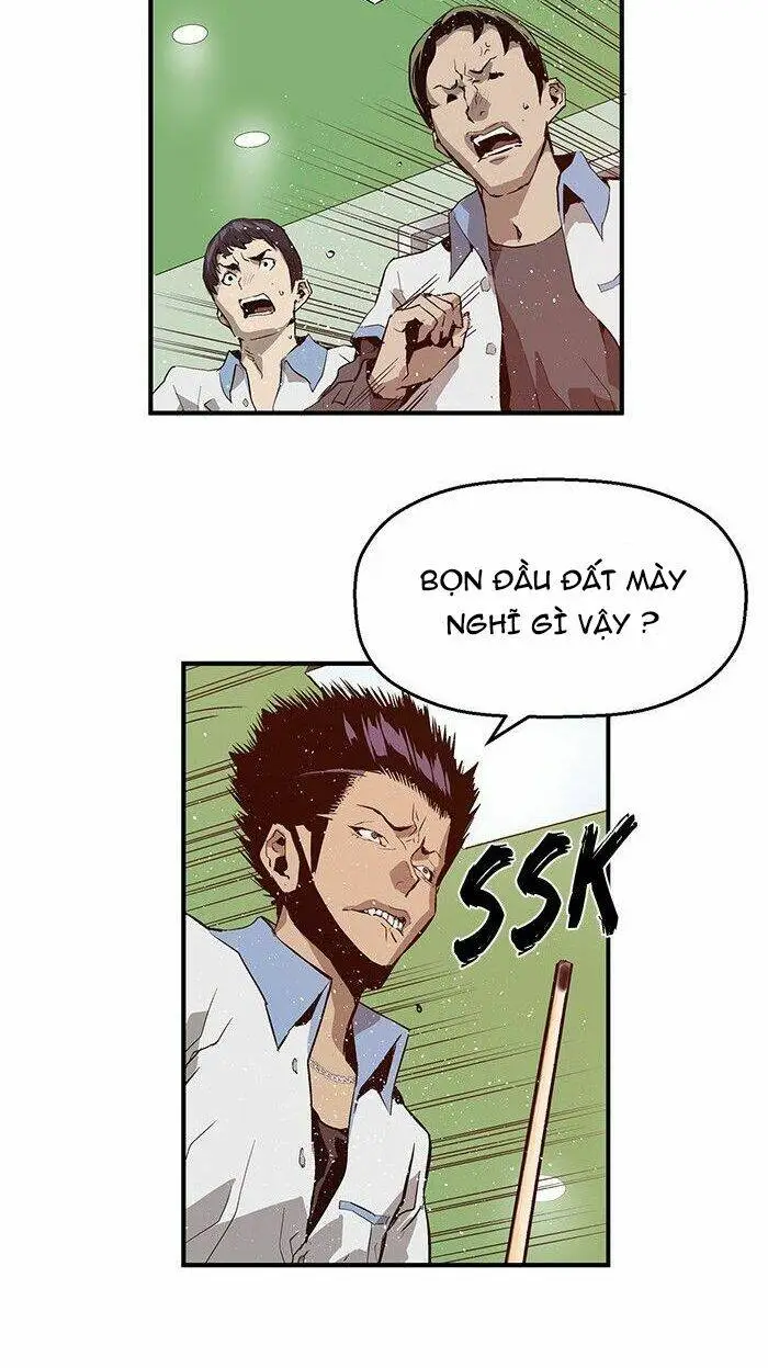 Chapter 13