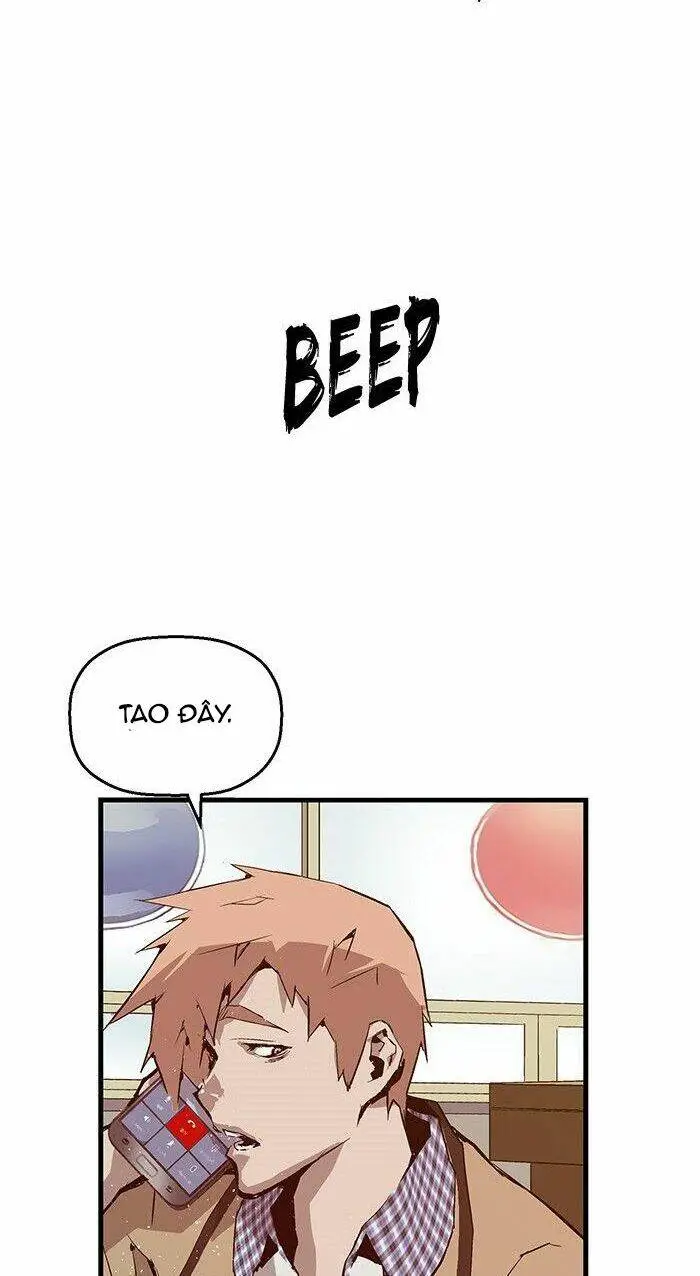 Chapter 13