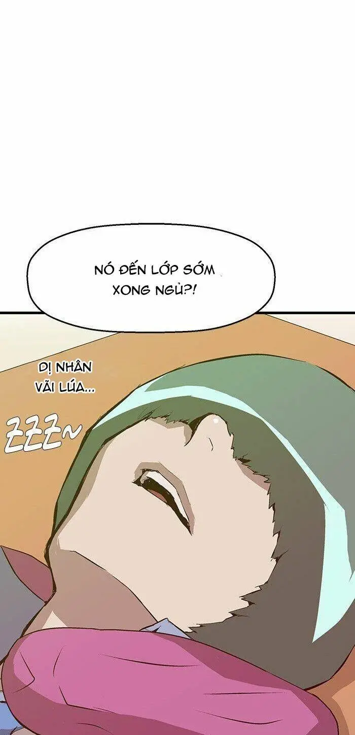 Chapter 13