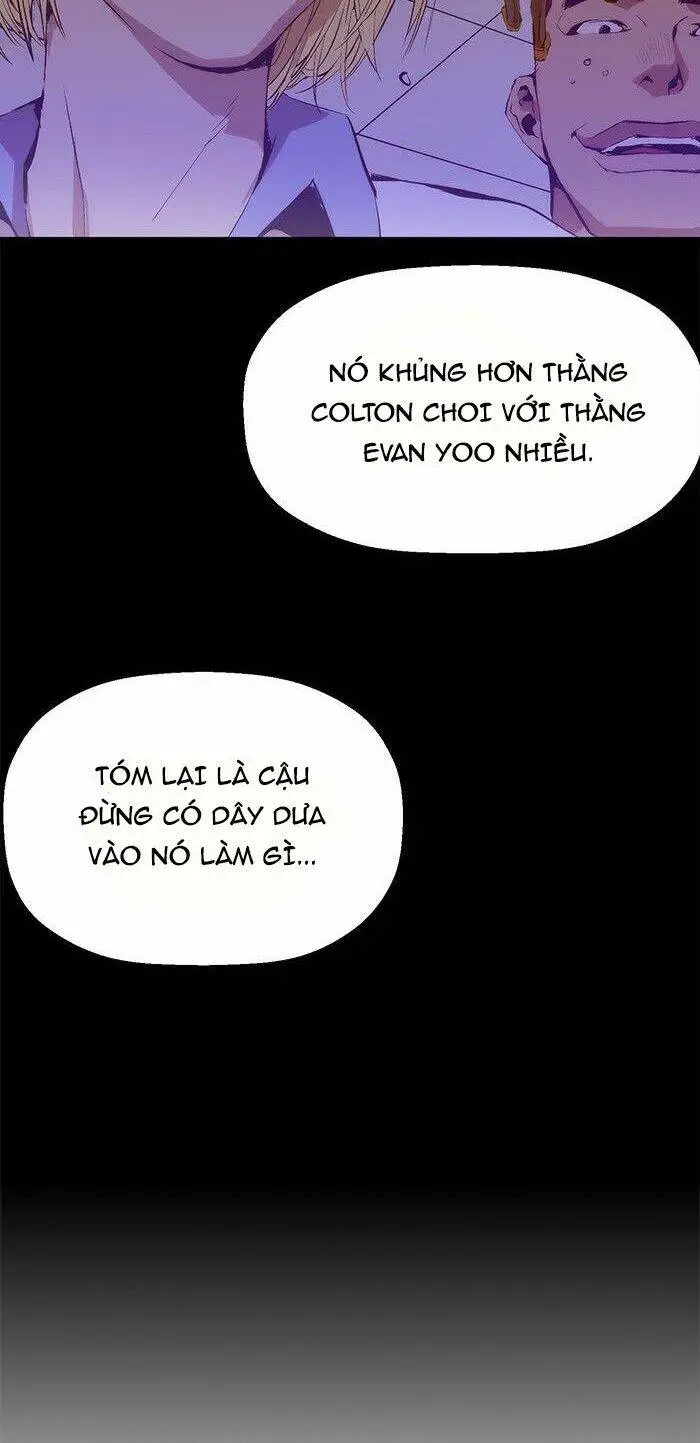 Chapter 13