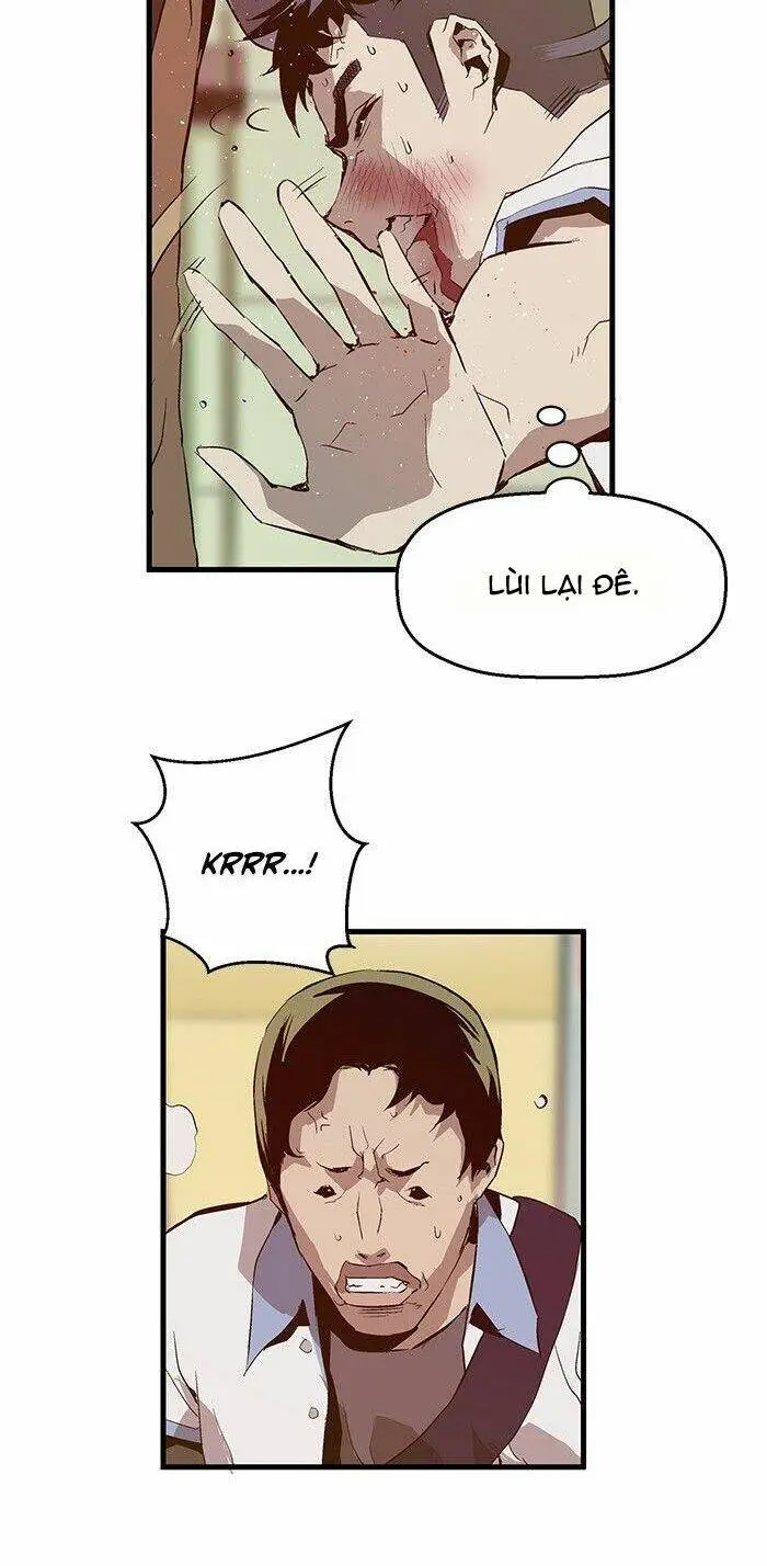 Chapter 13
