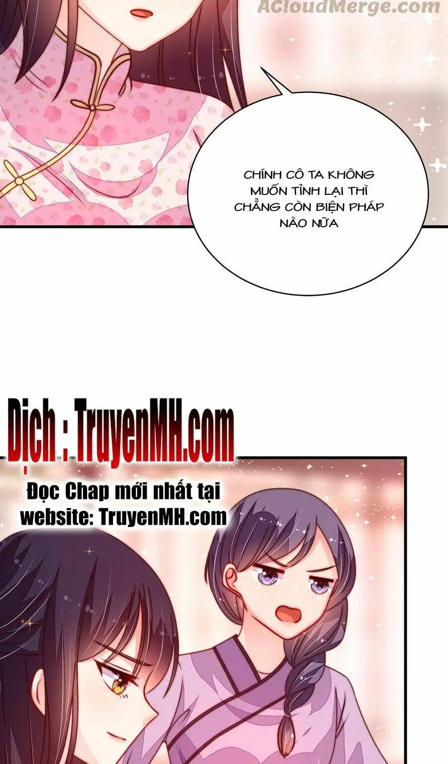 Chapter 411