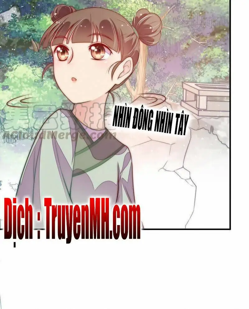 Chapter 80