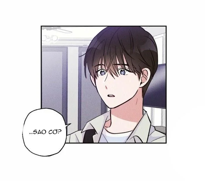 Chapter 11