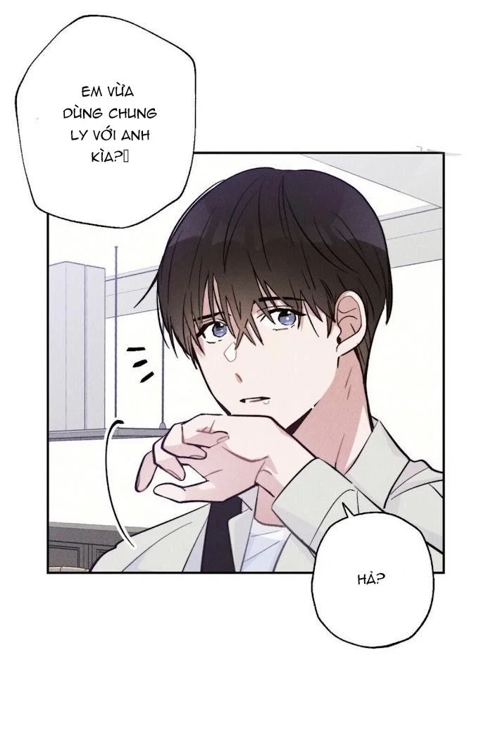 Chapter 11
