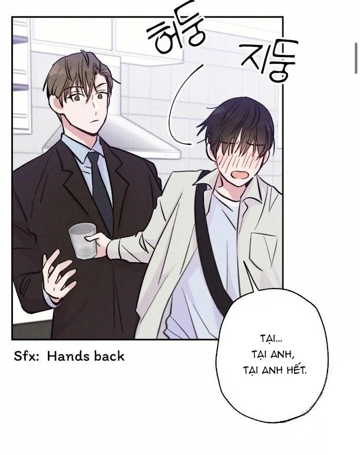 Chapter 11