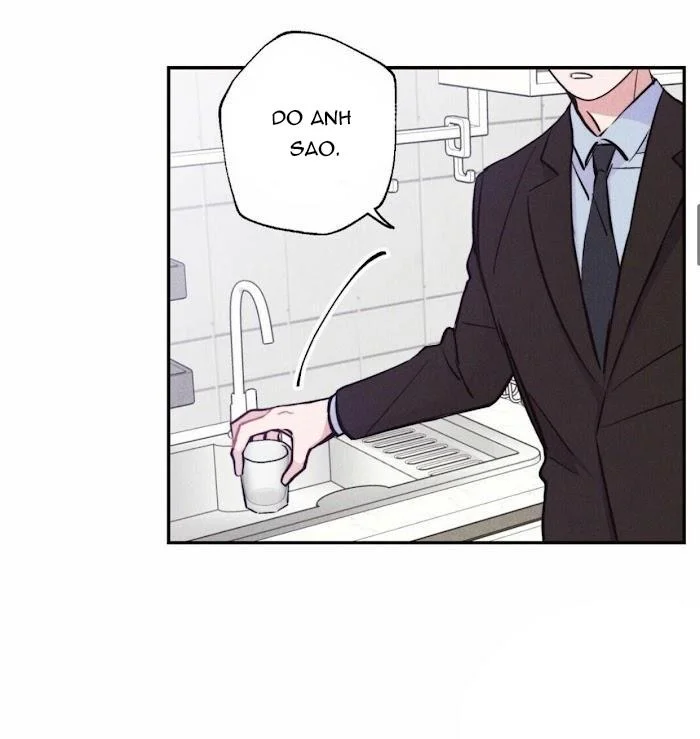 Chapter 11