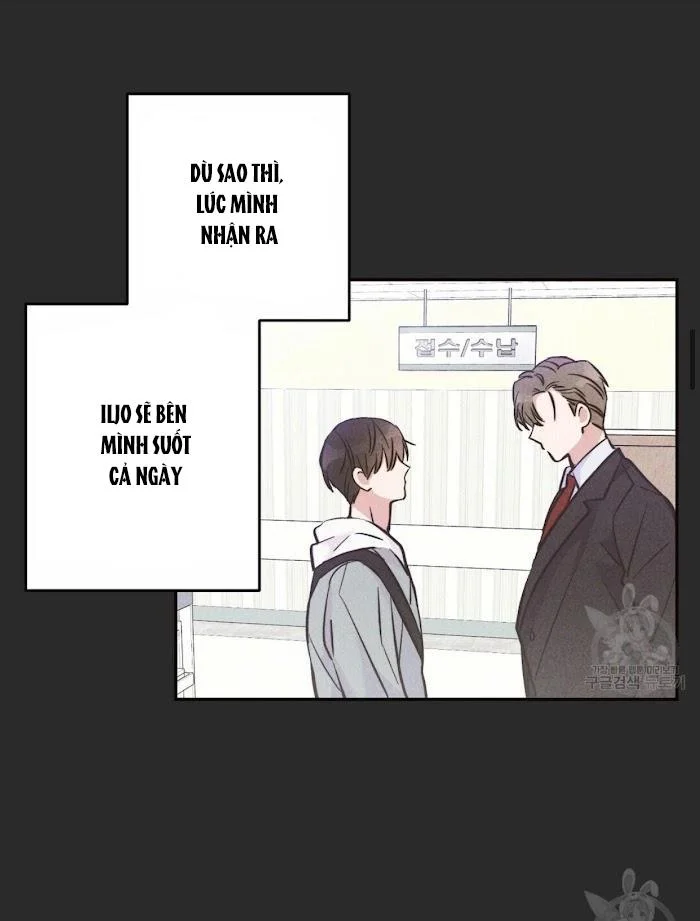 Chapter 11