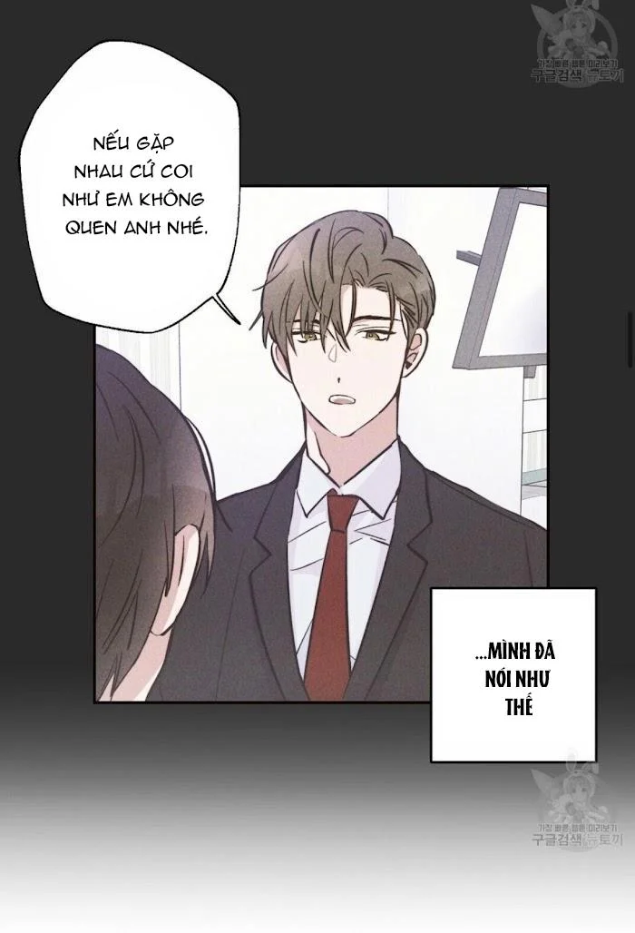 Chapter 11