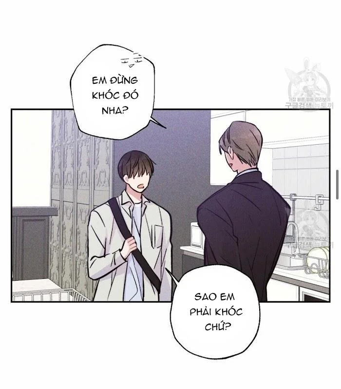 Chapter 11