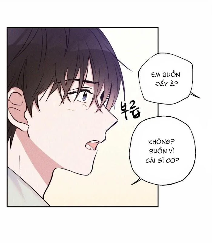 Chapter 11