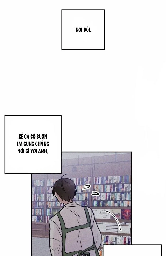 Chapter 11