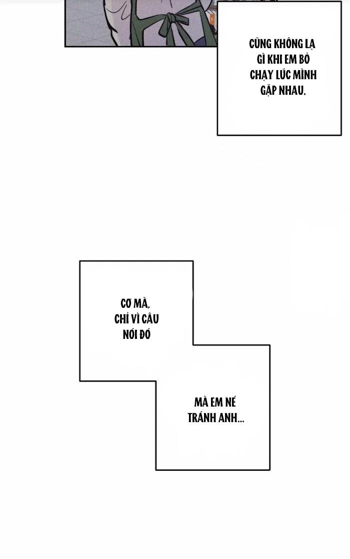 Chapter 11