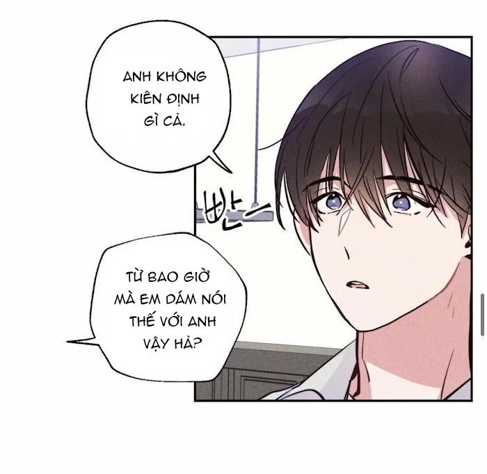 Chapter 11