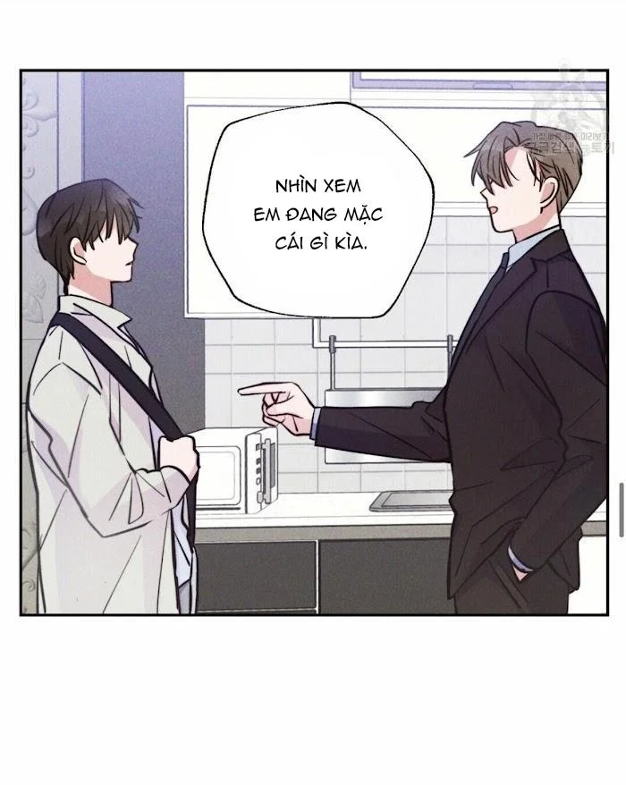 Chapter 11