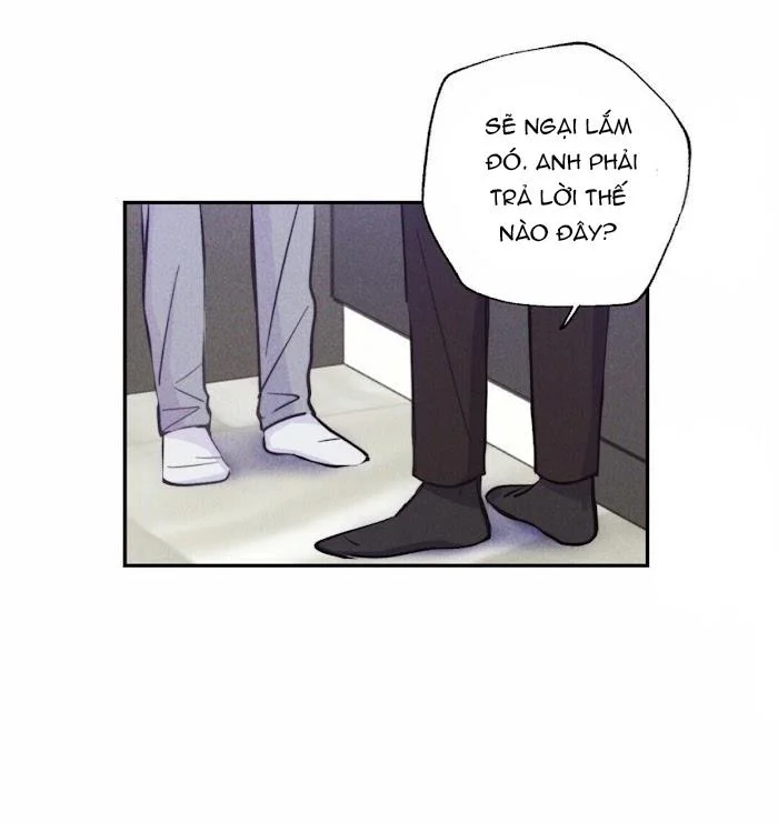 Chapter 11