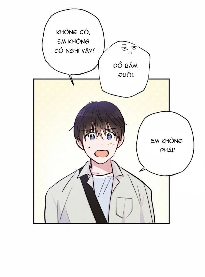 Chapter 11