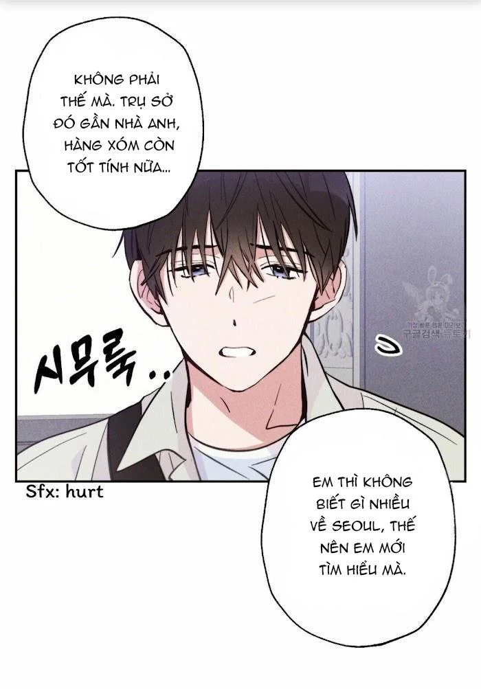 Chapter 11
