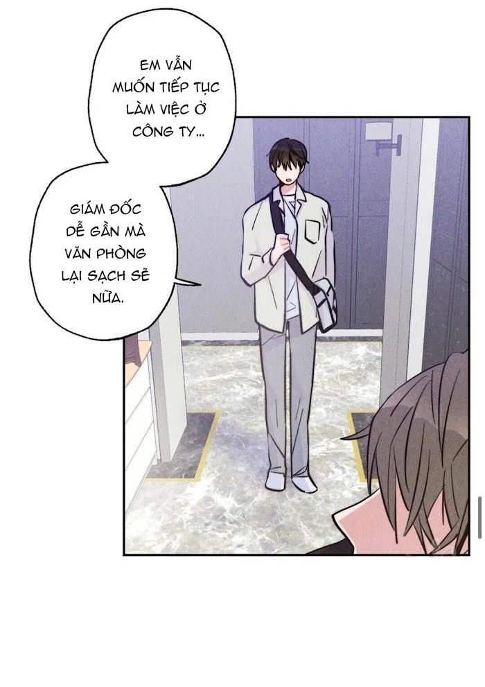 Chapter 11
