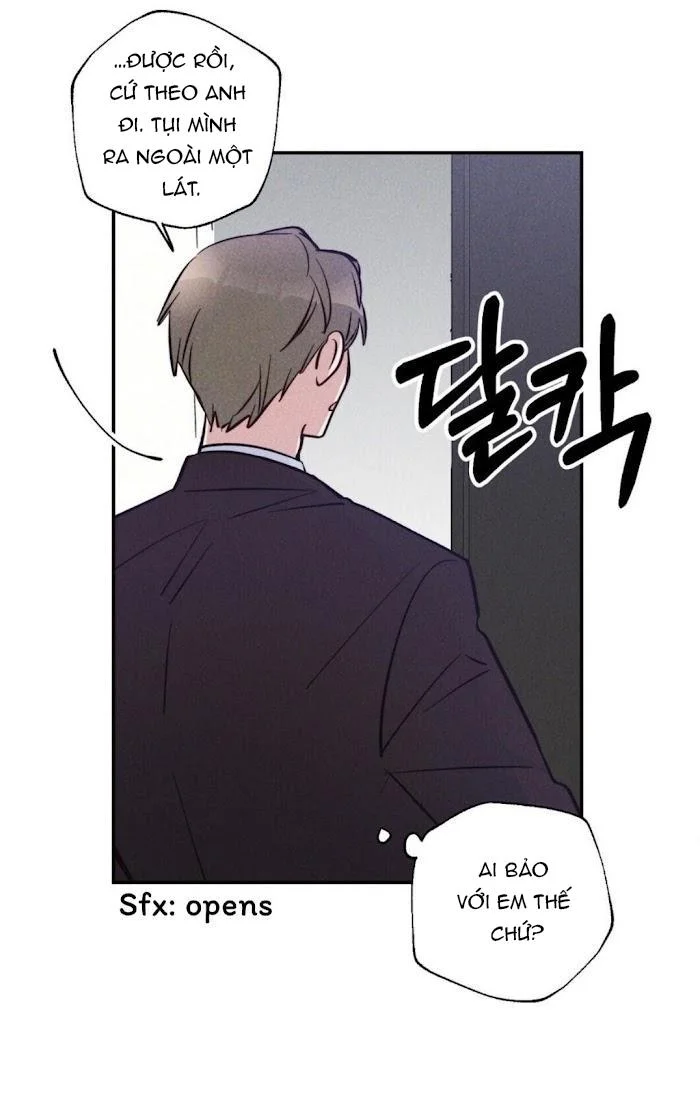 Chapter 11